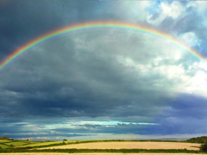 Regenboog